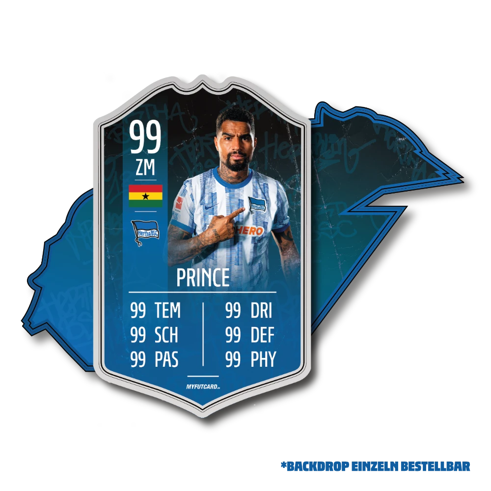 Schauer & Straube GbR FUTCARD Standard â Bild 3