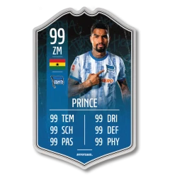 Schauer & Straube GbR FUTCARD Standard