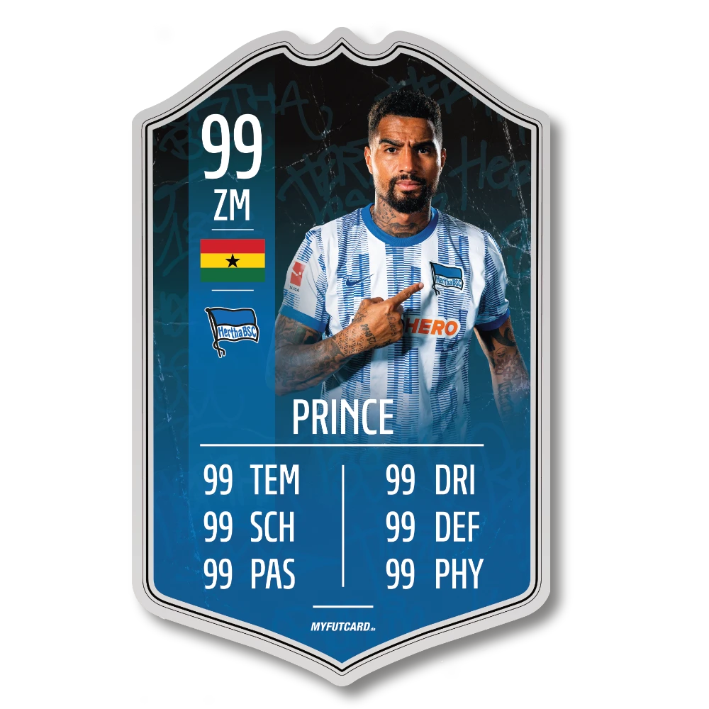 Schauer & Straube GbR FUTCARD Standard