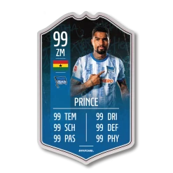 Schauer & Straube GbR FUTCARD Premium