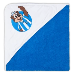 VertriebsArena GmbH Kapuzentuch Herthinho