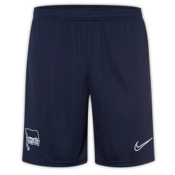 Nike Trainingsshorts Teamline