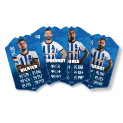 Schauer & Straube GbR FUTCARD Premium