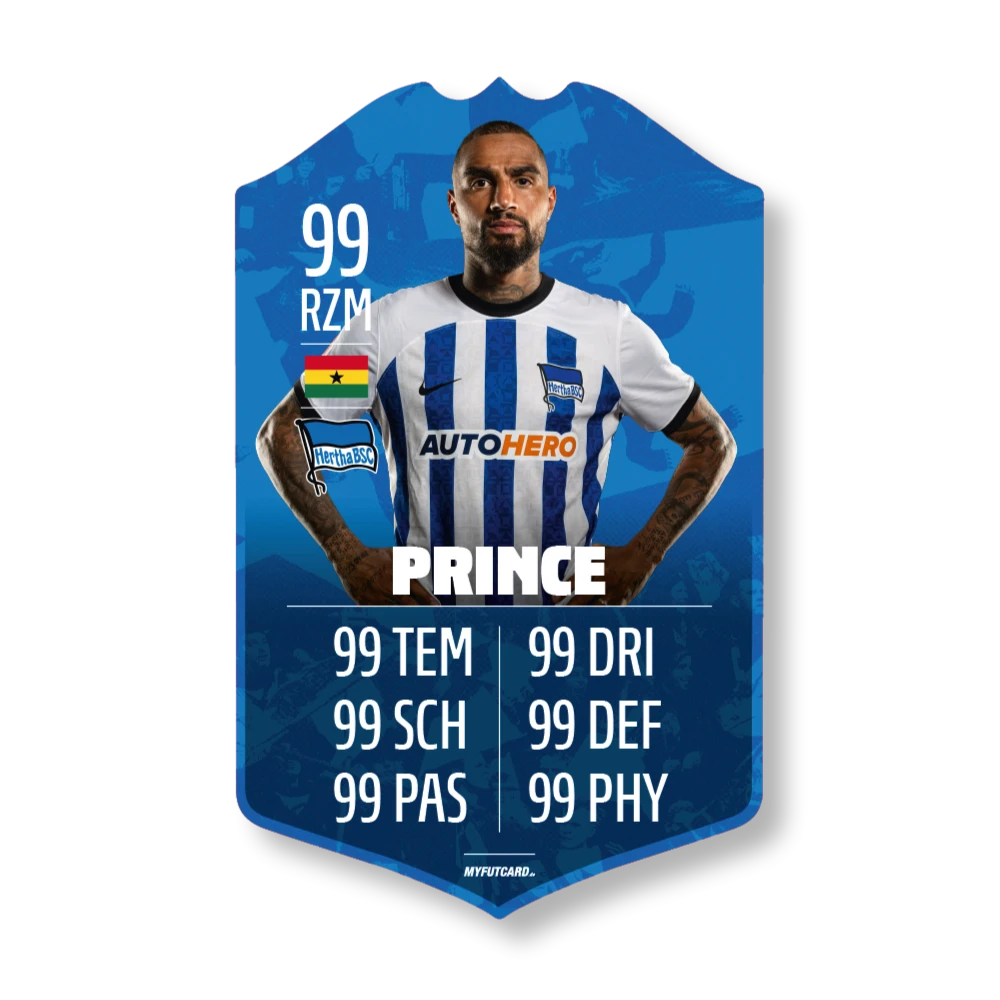 Schauer & Straube GbR FUTCARD Premium – Bild 5