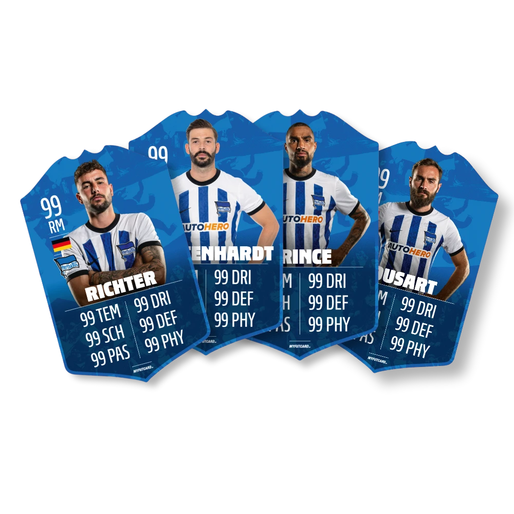 Schauer & Straube GbR FUTCARD Premium