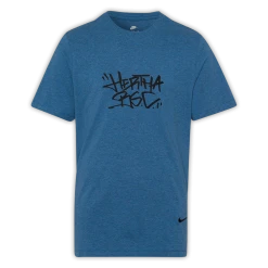 Nike T-Shirt Tag Hertha BSC Blau-melange